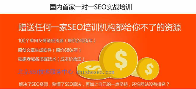 SEO��(sh��)��(zh��n)��Ӗ(x��n)