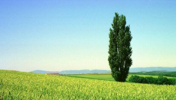 �ٶȈDƬ��䛘˜ʼ��DƬ����Ҏ�t����