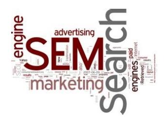 SEM��ν���ƏV�I�N��