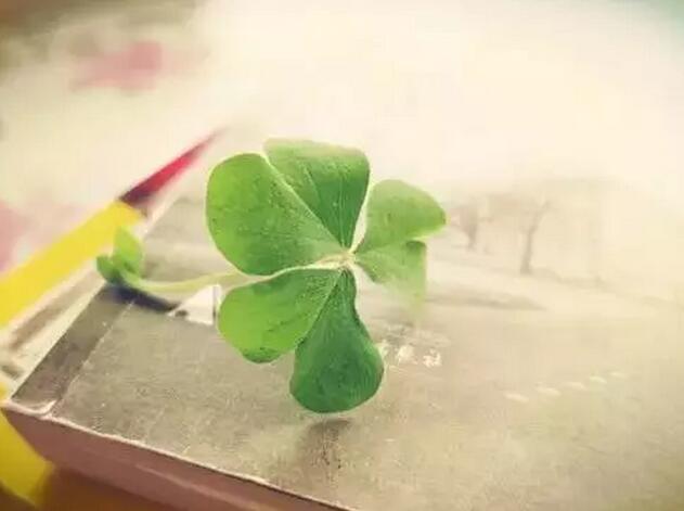 ���x���ˬF(xi��n)�ڵ����߀�Ǳ����^���F(xi��n)�ڵ����