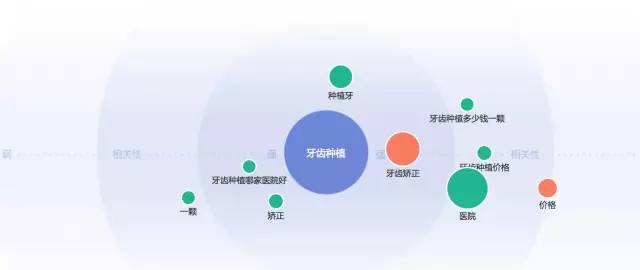 ���X�C�����������P��������