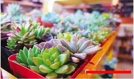 90��Ů���B����ֲ���_�ꄓ�I