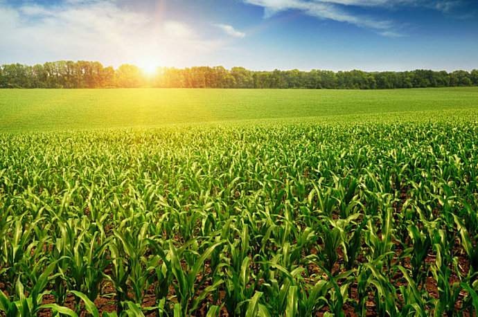 �ˈ@�ܰl�ٍ�X �l����wʽ�ˈ@