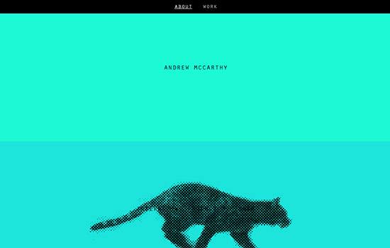 �����Wվ����Щ���ݣ�����������SEO������