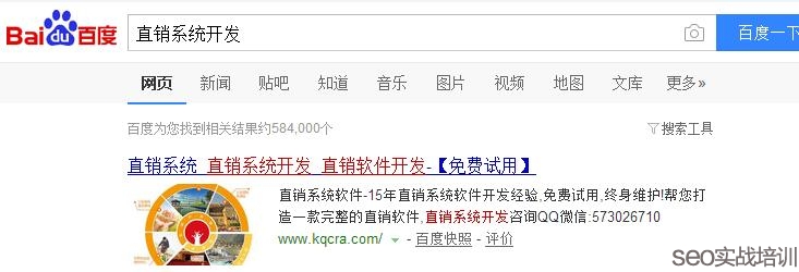 SEO����������ֱ�Nϵ�y�_�l���P�I�~10����վ����퓣�